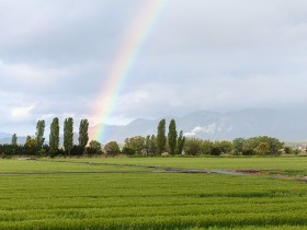 草原にかかる虹